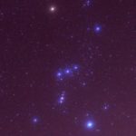 日本語話者と英語話者では見えてるものが違う