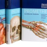 なぜ日本の医学はドイツ語なのか