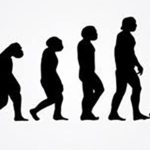 チョムスキーは進化論を否定したか